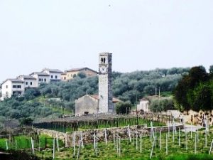 Church San Pietro Apostolo Negrar