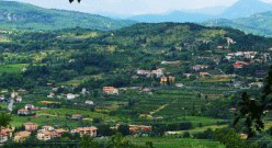costermano