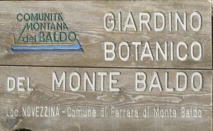 Botanical garden Mount Baldo of Novezzina Natural Science Park