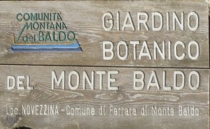 Orto botanico del Monte Baldo Ferrara di Monte Baldo