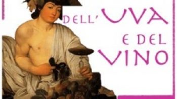 Grapes and Wine Festival