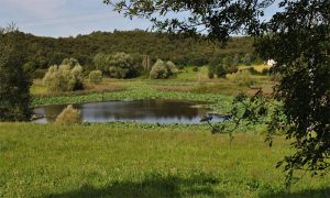 Sovenigo lakes Puegnago Valtenesi lake Garda Italy