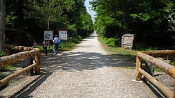 Riserva Naturale Bosco Fontana