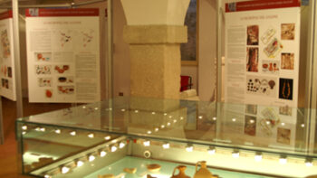 Museo Archeologico A.M. Mucchi