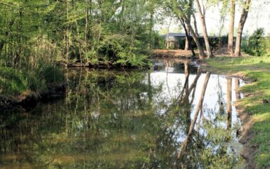 Castel Goffredo – zone umide