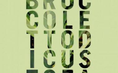 Festa del broccoletto di Custoza