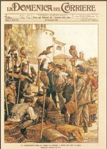 bardolino-sagra-dei-osei-cisano