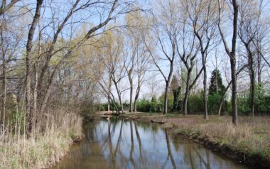 Castel goffredo – risorgive Localita Perosso