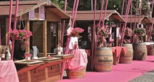 festa-dell-uva-bardolino