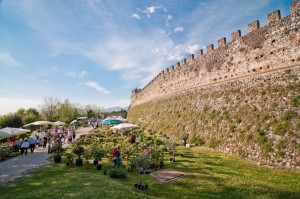 fiori-nella-rocca-lonato