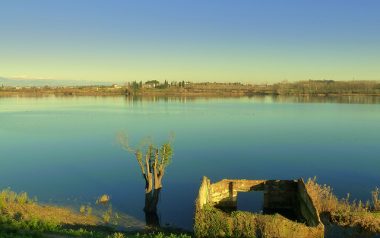 Laghetto del Frassino Peschiera