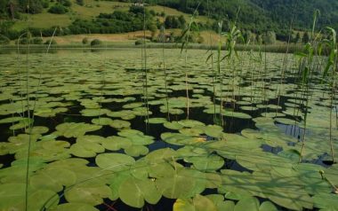 Lago d'Ampola Valle di Ledro