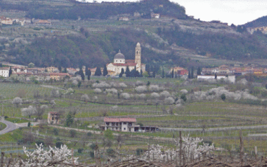 marano-valpolicella