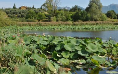 puegnago-laghetti-sovenigo-1