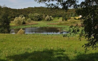 puegnago-laghetti-sovenigo