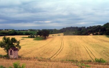 solferino-Colline Alto Mantovano3