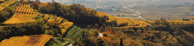 valpolicella